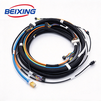 Harnais de câblage multi-branche personnalisé BeiXing OEM, âme en cuivre, PVC/PTFE, indice de protection IP67 pour la robotique industrielle, l'automatisation et les appareils électroménagers