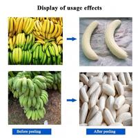 Automatische machine voor het verwijderen van de schil van groene bananen, van roestvrij staal, ook geschikt voor plantains.