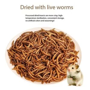 Vente en Gros Directe d'Usine de Larves Riches en Protéines et Nutriments - Insectes Comestibles, Vers de Farine Séchés pour Oiseaux, Amphibiens et Appâts Aquatiques - Product Image 5