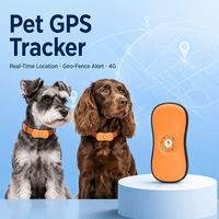 Localizador GPS para Mascotas, Totalmente Automático, para Perros y Gatos, Resistente al Agua IP67, Sistema de Rastreo Antipérdida, Compatible con PC, iOS y Android, OEM ODM