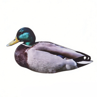 Silhouette de chasse au canard DaQin réaliste, anti-rayures, légère, en plastique, recyclable pour l'extérieur