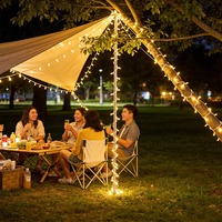 Guirlande lumineuse de camping portable et rétractable, rechargeable, avec télécommande et contrôleur séparé, multicolore, pour patio et Noël