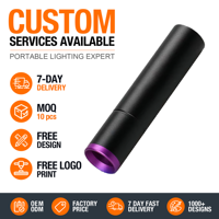 Senter UV Mini Portabel USB Isi Ulang Cahaya Ungu Putih Identifikasi Deteksi Hewan Peliharaan Senter Genggam Kustomisasi