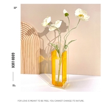 Vase moderne en acrylique transparent de style nordique, porte-fleurs pour la décoration du salon, de la table à manger, cadeau de mariage, d'anniversaire, ornement de maison