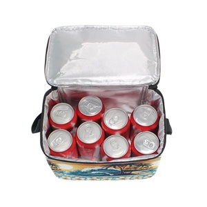 Sac isotherme de style simple pour 12 canettes, motif fleur de frangipanier, plage et île, impression personnalisée, pour bière et aliments, boîte de rangement thermique - Product Image 6