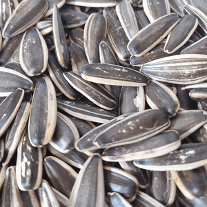 גרעיני חמניות בטעם מקורי פרימיום, חטיף בריא, פריך ומשביע, ללא תוספים - Product Image 3