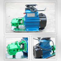 Pompe à engrenages électrique monophasée WCB 30, 1 CV, 30 LPM, 0,75 KW, en bronze, pour transfert de diesel, 2800 tr/min, avec interrupteur et prise, Fourniture B2B