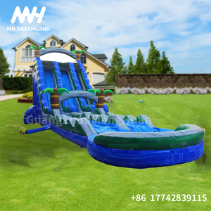 Thiết Kế Mới Inflatable Kép Làn Đường Trượt Nước Với Hồ Bơi 21 Ft Cao Cây Cọ Khô/Ướt Trò Chơi Nước Cho Vui Chơi Giải Trí Công Viên - Product Image 4