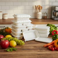 Emballages alimentaires jetables en plastique MFPP pour micro-ondes, contenants de préparation des repas, boîtes à lunch rectangulaires, boîte à lunch bento, couvercle sans BPA
