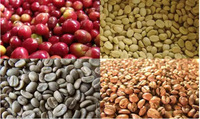 Machine à éplucher les grains de café Machine à éplucher les grains de café Machine à éplucher les grains de café