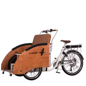 Vélo cargo électrique à assistance électrique pour adultes, avec moteur 36V 250W, tricycle à batterie au lithium et cadre en acier – Offre spéciale - Product Image 1