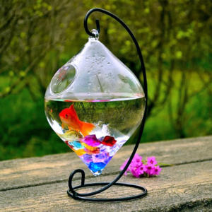 Transparant Creatief Hangend Type Glazen <span class=keywords><strong>Aquarium</strong></span> Accessoires Tafelblad Klein <span class=keywords><strong>Aquarium</strong></span> - Product Image 5