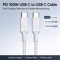 Kabel Tipe C ke Tipe C Kustom PD 100W Pengisian Cepat Kabel Sinkronisasi Data Selubung TPE Kabel Charger USB C ke USB C OEM Panjang Kustom