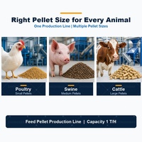 Ligne de production automatique de granulés d'aliments pour animaux, équipement de transformation d'aliments pour poulets et porcs, usine complète, équipement industriel