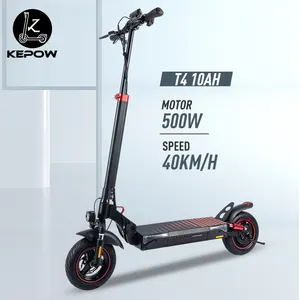 T4 todoterreno potente Scooter Eléctrico 500W 12a almacén de China compartir bicicleta eléctrica