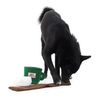 Jouet interactif pour chien ZHONGYA en peluche coréenne, café, couineur, cache-cache, pour usage quotidien, nouveau style, jouet en peluche pour animaux de compagnie