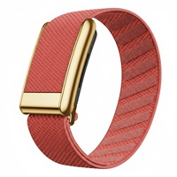 Bracelet de remplacement confortable et élégant en nylon doré de 25 mm pour montre Whoop 5.0
