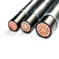 THHN THW 10AWG Cable y cable estándar americano Cable y cable de nailon