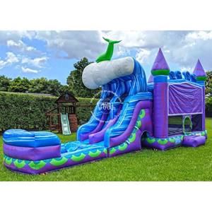 Glissière d'eau gonflable de château de videur de divertissement d'enfants - Product Image 1