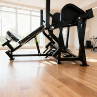 Máquina de remo comercial para gimnasio, equipo de fitness para estiramiento de espalda, entrenador de remo sentado de alta intensidad