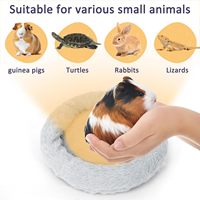 Lits pour cochons d'Inde, hamsters, hérissons, écureuils, tortues, lézards et petits animaux