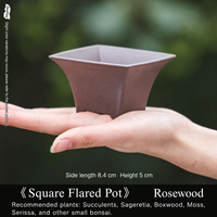 Pot de fleurs carré en résine de style chinois avec plusieurs trous de drainage, jardinière pour usage domestique pour les plantes succulentes, les cactus, les bonsaïs