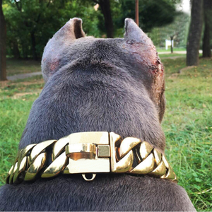 Goldene Hundehalskette aus Metall für das Haustiertraining, Würgehalsband für kleine und mittelgroße Hunde, Zubehör aus Edelstahl, kubanische Gliederkette für Bulldoggen, 32 mm BÄNDER - Product Image 2