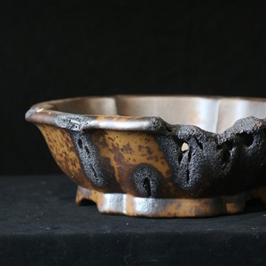 Pot à Bonsaï Octogonal Cuit au Bois Fait Main Style Wabi Sabi Grande Taille Résistant aux Insectes Zou Hangyu - Product Image 2