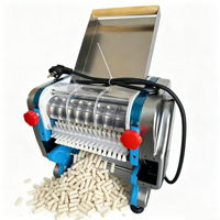 Petite machine à couper les Chin Chin / Machine à biscuits Chin Chin / Machine à découper la pâte carrée