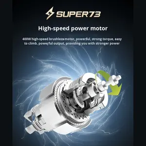 -Y1 Bicicleta eléctrica retro Velocidad variable Bicicleta de montaña todoterreno para adultos 750W Buje trasero Batería de litio asistida eléctrica - Product Image 2