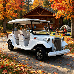 Autobús Turístico Clásico Vintage de la Marca ZOWN, Eléctrico de Nueva Energía, 6 Asientos, 2 Años de Garantía, Color y Tamaño Personalizables, para Recepción de Hotel - Product Image 1