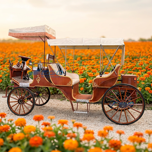 Charrette de mariage victorienne, chariot à chevaux Cendrillon, chariot électrique touristique pour la visite des sites - Product Image 1