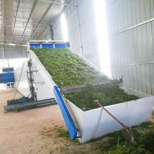 Professional Mesh Belt Dryer Alfalfa Oat Grass Barley Grass Golden Bamboo Grass Dehumidifier Machine - Product Image 4