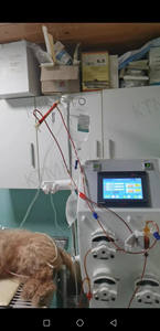 Ucuz Hayvan Hemodiyaliz Makinesi Taşınabilir Hemodiyaliz Makinesi LCD Ekran Dokunmatik Düğmeler Kolay Parametre Ayarı Kolay Kullanım - Product Image 6