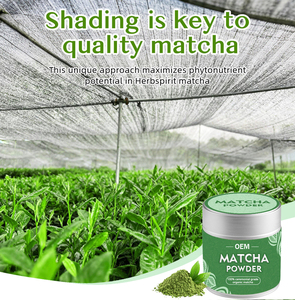 Thé vert matcha japonais cérémonial en poudre, emballé en boîte, qualité supérieure, vente en gros, fournisseur OEM, emballage de marque privée - Product Image 5