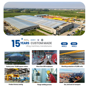 3ton 5ton 10ton Châu Âu đơn dầm điện Palăng điện xe đẩy Palăng nhà máy trên không cần cẩu Palăng - Product Image 6