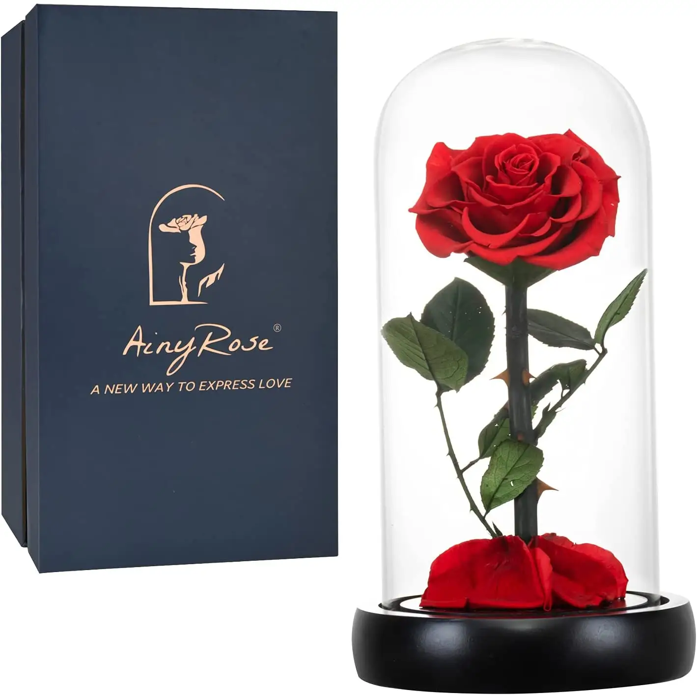 Rosas en cúpula de cristal para San Valentín, rosas naturales preservadas, hechas a mano, para regalo del Día de la madre, oferta de 2021