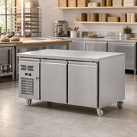 Réfrigérateur commercial en acier inoxydable sous comptoir, 2 portes, table de travail réfrigérée