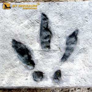 MON DINO <span class=keywords><strong>DS118</strong></span> Musée Exposition Réaliste Dinosaure Jambe Fossiles - Product Image 5