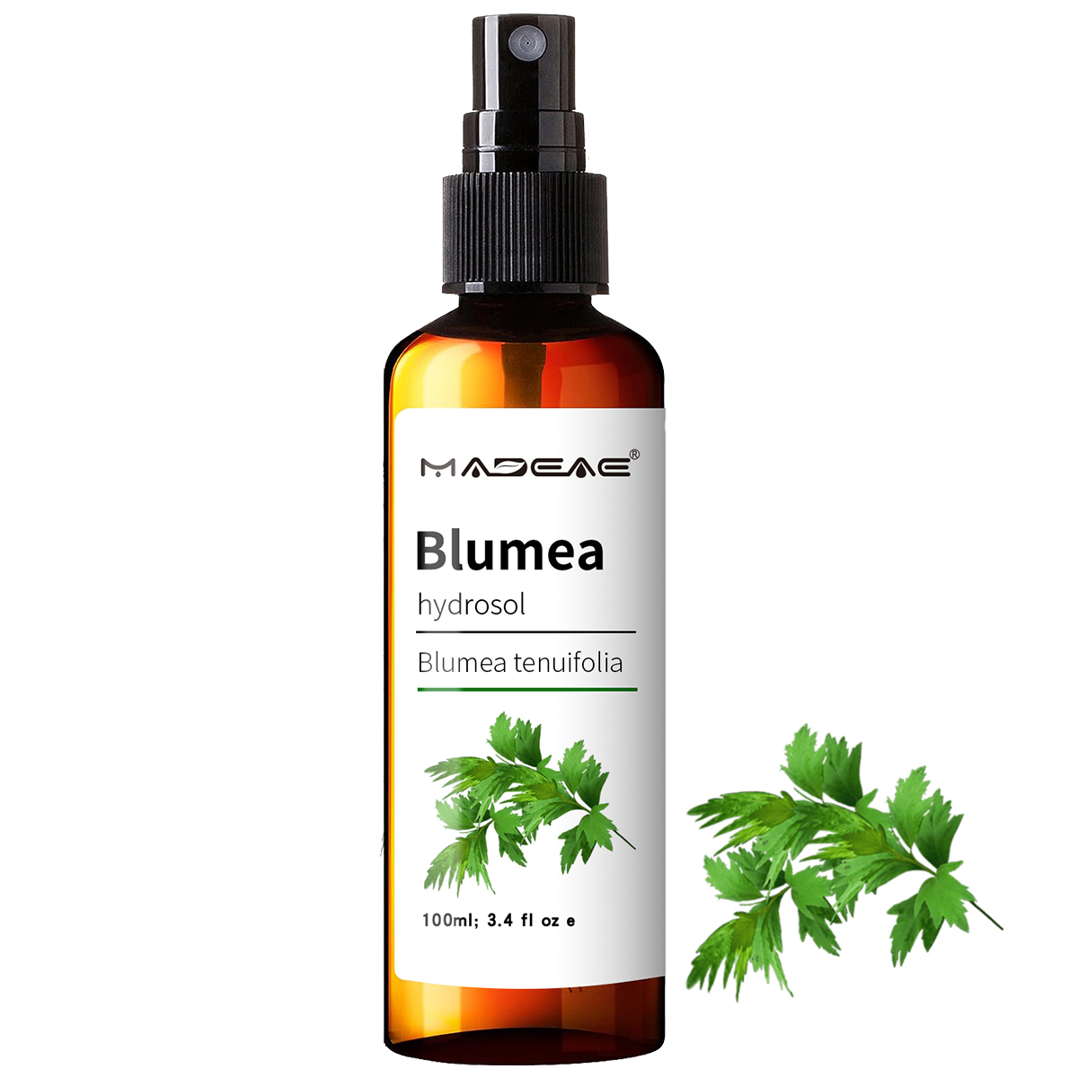 Поставщик от фабрики Blumea Hydrosol, чистый натуральный цветочный водяной гидрозоль
