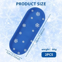 Badu Fashion – Lot de 2 pochettes réutilisables pour insuline au gel froid, avec fermeture éclair, étui de voyage étanche, pour diabétiques (froid/chaud)