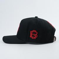 Gorra de Béisbol Personalizada con Color Estructurado, Logotipo Bordado a Mano, 5 Paneles, Visera Curva, Algodón Popelín, Diseño Argyle con Frutas