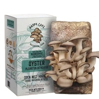 Boîte d'emballage imprimé à plat avec logo personnalisé impression de boîte de kit de culture de champignons