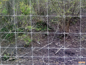 Pagar lapangan permainan pagar kawat anyam simpul persegi tugas berat ramah lingkungan pagar lapangan 10*10cm pagar lapangan kuda - Product Image 2