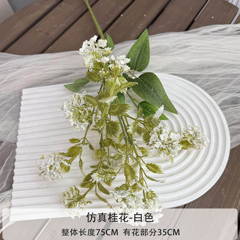 ออสแมนทัสจำลอง