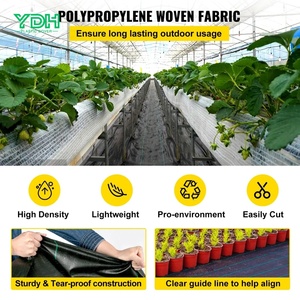 <span class=keywords><strong>Rouleau</strong></span> <span class=keywords><strong>de</strong></span> tissu anti-herbe professionnel pour couverture du sol agricole avec couleur et taille personnalisées - Product Image 3