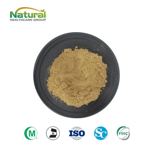 Produk organik produk QYHerb kualitas unggul ekstrak bubuk <span class=keywords><strong>Bacopa</strong></span> Monnieri murni harga murah untuk dijual - Product Image 5