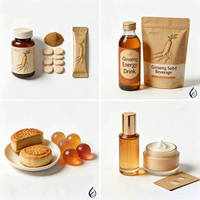 Poudre d'extrait de ginseng Panax naturel en promotion pour usage médical multi-scénarios OEM ODM