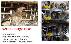 Tự động treo nhựa gà uống rượu và trung chuyển cup Bowl cho chim cút <span class=keywords><strong>Pigeon</strong></span> uống nước - Product Image 6