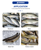 Écailleur automatique à haute pression pour poissons, traitement à faible dommage, conserve la peau du poisson intacte pour les usines de transformation alimentaire
